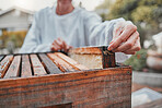 Beekeeper, working and production of honey in a box at a farm, backyard or nature. Agriculture, sustainable and hands of an organic farmer with honeycomb for small business and food in summer