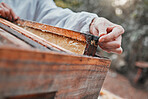 Beekeeper hands, wooden box and honeycomb frame on countryside farm, insect farming environment or agriculture nature. Zoom, woman and bees farmer in honey production, harvest process or export sales