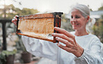 Beekeeper, happy and honey production with frame, honeycomb or harvest of food, health or nutrition. Woman, bee farmer and smile for agriculture for organic natural, product or success at apiary farm