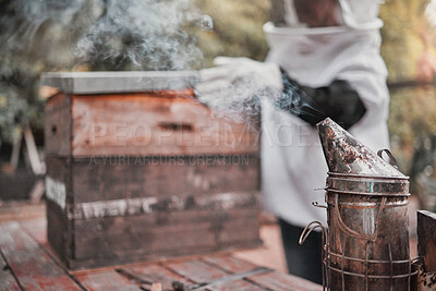 Buy stock photo Smoker, honey and beekeeping with a woman farmer working outdoor by a beehive in the countryside. Agriculture, sustainability and farm with a female beekeeper at work in the production industry