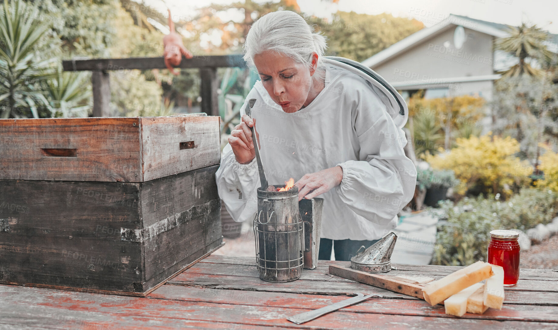 Buy stock photo Smoking pot, farm and woman in honey production in a steel container on a sustainable bee field. Fire, farming and senior eco friendly beekeeper farmer manufacturing honeycomb outdoor in nature.