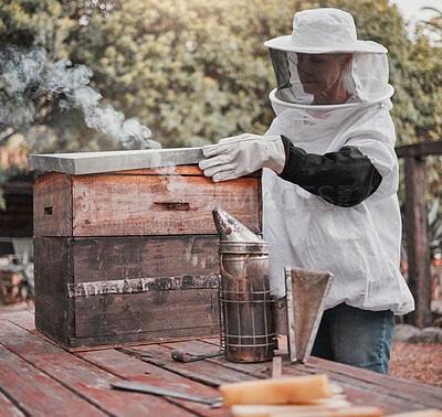 Buy stock photo Box, beekeeper and farm agriculture inspection of honey, honeycomb and wooden hives farming. Beekeeping farmer woman working in professional suit for outdoor protection for natural insects. 
