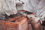 Beekeeper, bee bellows and smoke in hands closeup at apiary farm, agriculture or industry. Beekeeping, protective suit and zoom working with nest box for bees, safety and farming for honey production