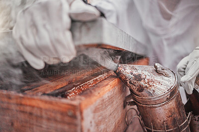 Buy stock photo Beekeeper, bee bellows and smoke in hands closeup at apiary farm, agriculture or industry. Beekeeping, protective suit and zoom working with nest box for bees, safety and farming for honey production