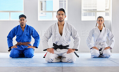 Portrait, training and karate group with coach in dojo ready for exercise or workout. Taekwondo, martial arts or group of students kneeling with teacher preparing for fight, match or fitness practice