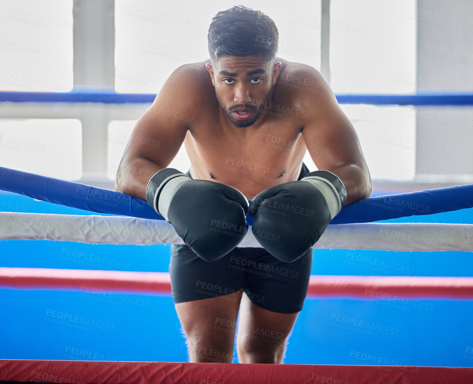 Buy stock photo Boxing ring, man and tired from fight, training and workout in gym exercise, burnout and fail in competition games. Portrait sweating boxer, athlete and guy, break and breathing in sports arena club 