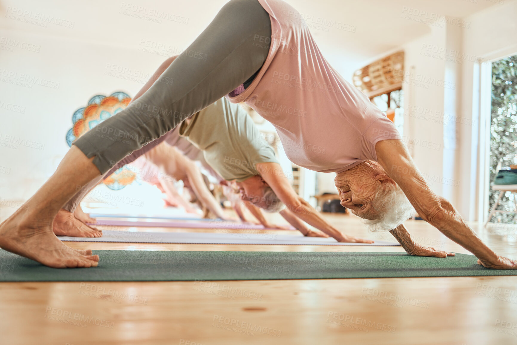 Buy stock photo Yoga, exercise and senior woman in studio, class and lesson for wellness, body care and fitness. Sports, balance and elderly female doing downward dog pose for training, pilates and workout in gym