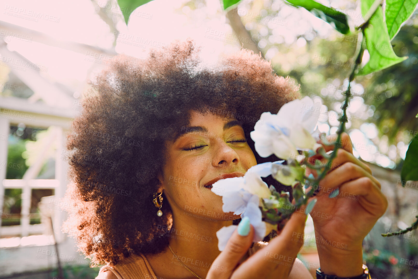 Buy stock photo Woman, smell flowers and spring garden enviroment for plants wellness or sustainability. African person, green energy and smelling floral fragrance or gardening, ecology and happiness in nature