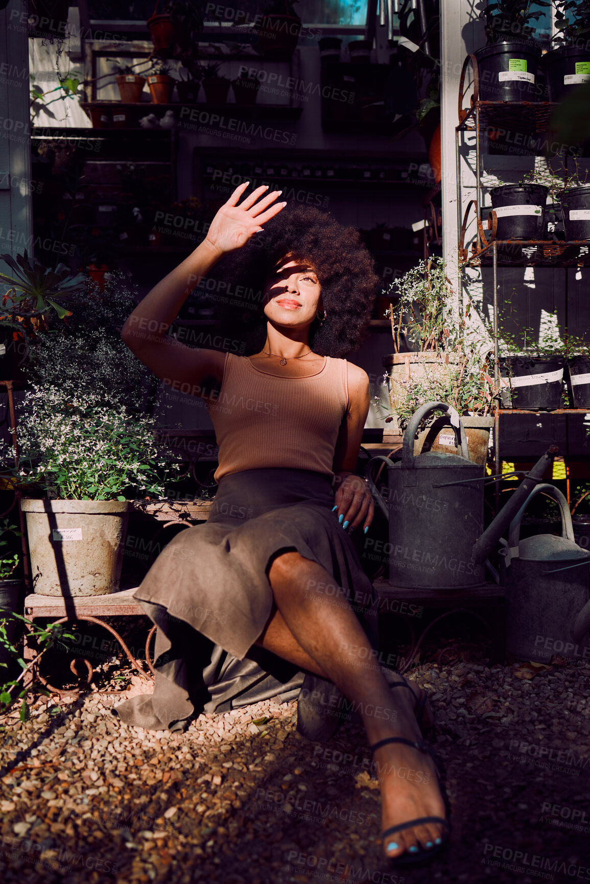 Buy stock photo Sun, shadow and light with beauty woman, garden and relax during summer, happy smile and afro in backyard outdoor. Latino female, fashion and relaxing in sunlight, gardening shed and pot plants