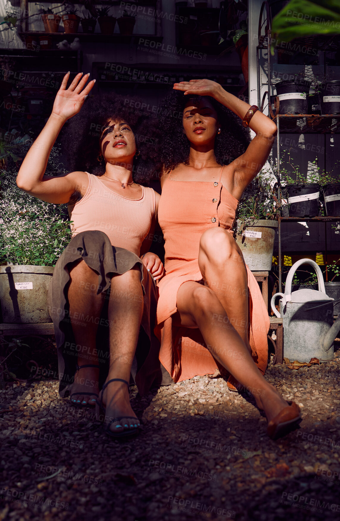 Buy stock photo Hands, sunlight and shade with black woman friends blocking the sun while sitting together at a plant nursery. Spring, gardening and growth with a female and friend outdoor at a flower shop