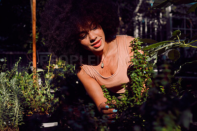 Buy stock photo Plant shop, greenhouse and black woman working in a retail nursery to monitor growth and development. Ecology, inspection and African girl doing maintenance on leaves and plants in a natural store.