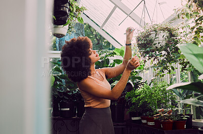 Buy stock photo Greenhouse, plants and black woman check quality control, growth care and progress for gardening, agriculture and startup. Small business owner, eco friendly and green garden worker with a pot plant