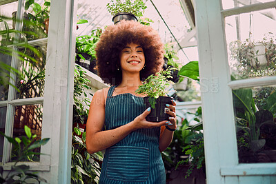 Buy stock photo Plant, growth and portrait of black woman in greenhouse for environment, agriculture and florist in small business. Sustainability, spring and garden with girl in nursery for herbs, organic and farm