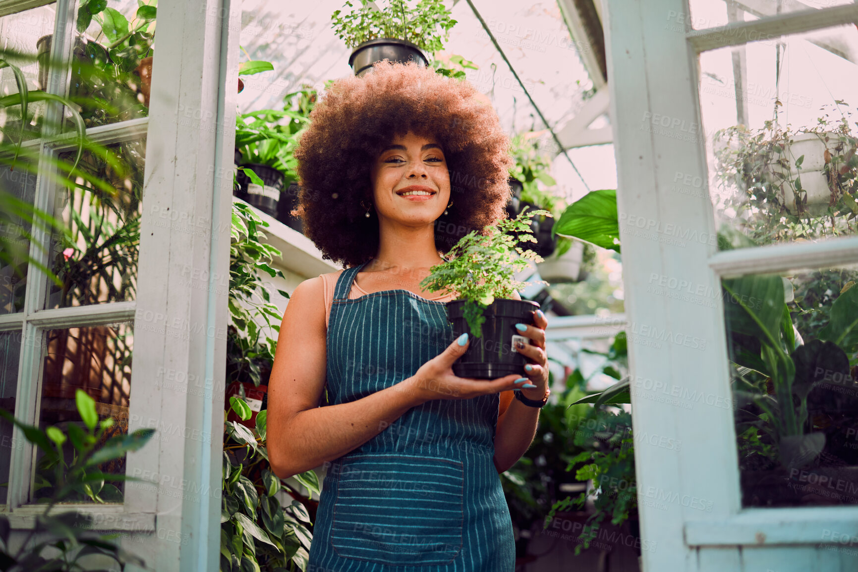 Buy stock photo Plant, growth and portrait of black woman in greenhouse for environment, agriculture and florist in small business. Sustainability, spring and garden with girl in nursery for herbs, organic and farm