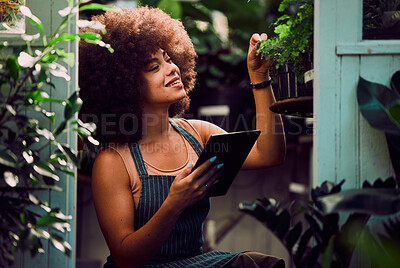 Buy stock photo Tablet, plants and black woman, small business owner and greenhouse environment in retail flowers shop, store and eco friendly market. Happy gardening worker, digital planning and sustainable growth 