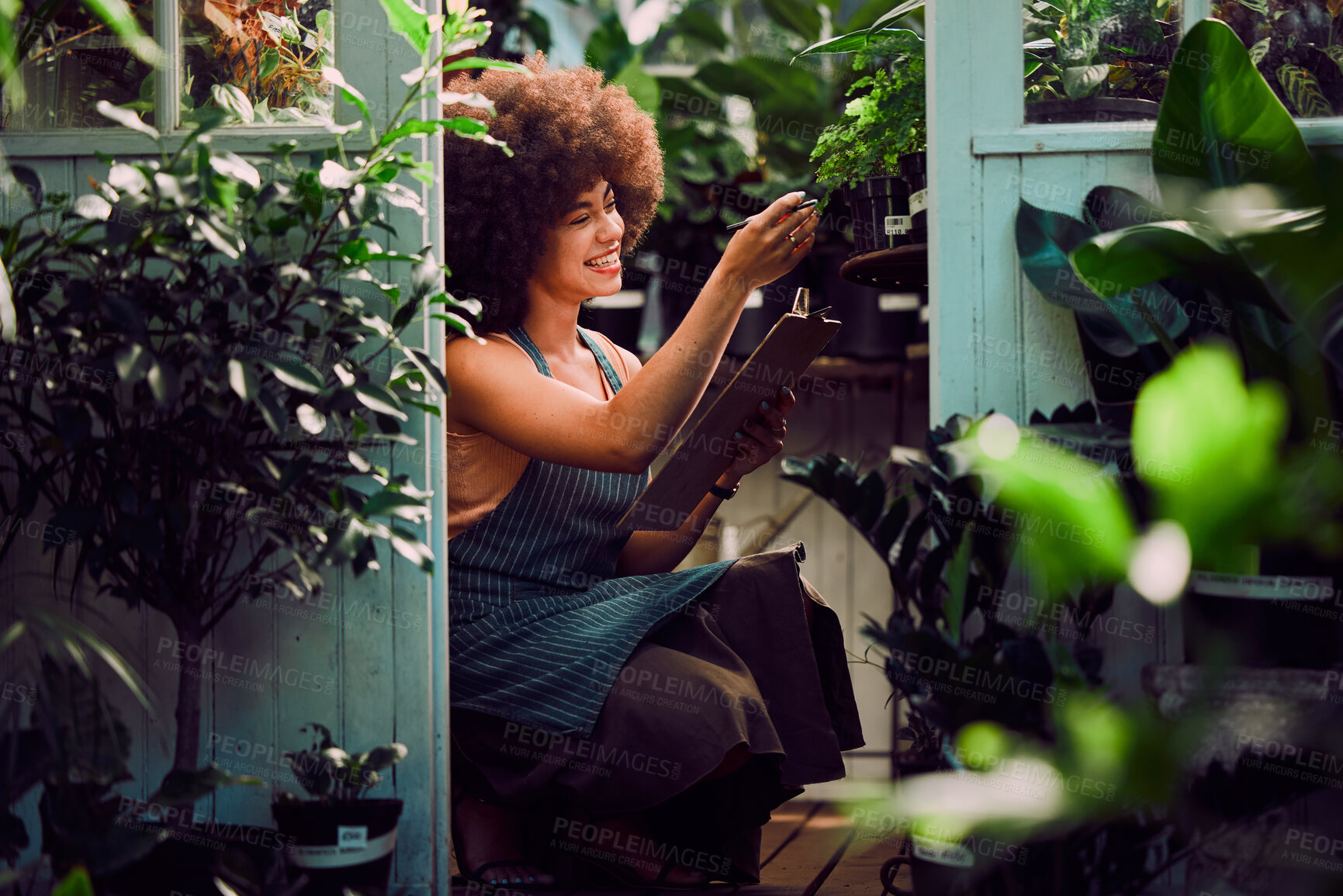 Buy stock photo Woman entrepreneur, checklist and plants shop, check plants and growth development in job. Service, agriculture and black woman confirm quality control, farming or produce for health or eco friendly
