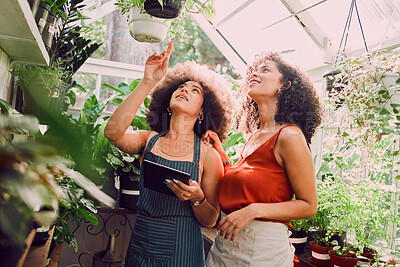 Buy stock photo Black women, tablet or pointing in plant greenhouse in organic growth management, ecommerce flower orders or sustainability innovation. Smile, happy or talking florists, garden center workers or tech