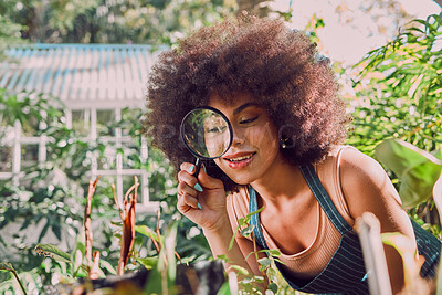 Buy stock photo Woman, gardening and farmer with magnifying glass for carbon capture, plants or flower growth in outdoor garden. Black woman, nature and earth day or natural agriculture sustainability greenhouse