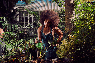 Buy stock photo Gardening, woman and spray water in garden or nature, eco friendly nursery and plant. black woman, working and agriculture sustainability of plants and flowers or trees on summer with greenhouse 