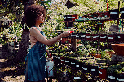 Buy stock photo Black woman, garden and spray pesticide for plants, vegetation and against bugs outdoor. Ecofriendly, African American girl and female gardener use liquid to remove harmful species and protect growth