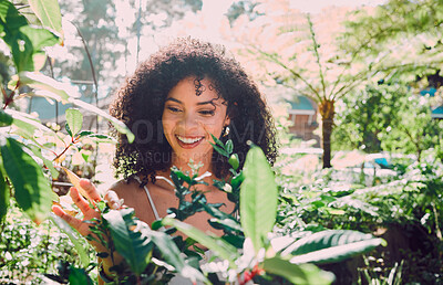 Buy stock photo Plants leaf, Spring garden and black woman check natural growth, gardening maintenance or agriculture sustainability. Ecology, botany and eco friendly gardener happy with garden design for Earth Day