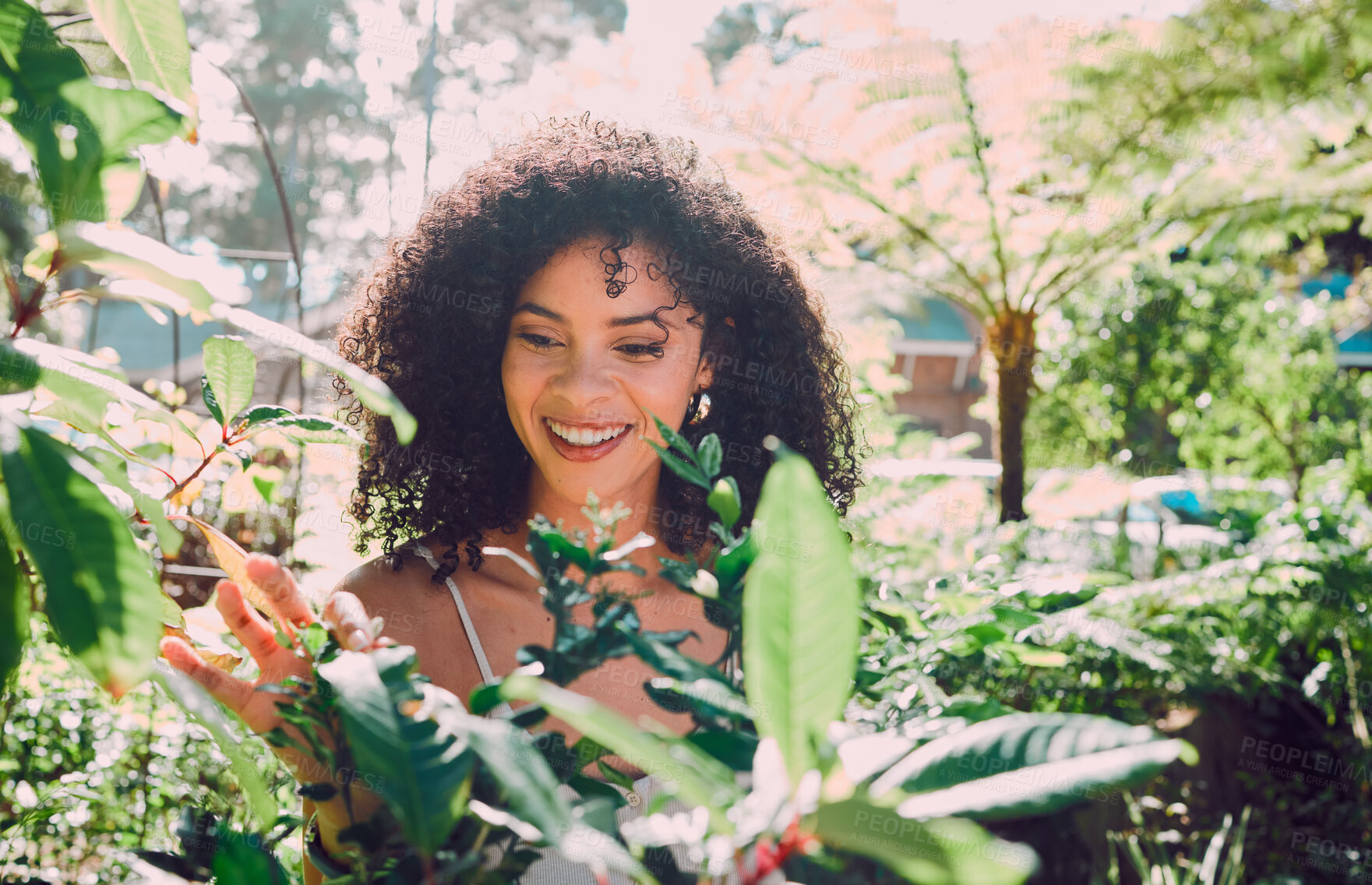 Buy stock photo Plants leaf, Spring garden and black woman check natural growth, gardening maintenance or agriculture sustainability. Ecology, botany and eco friendly gardener happy with garden design for Earth Day