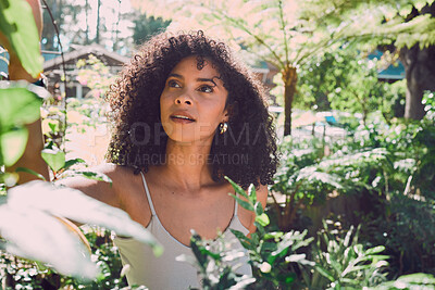 Buy stock photo Nature, sustainability and women in garden with plants in backyard of home. Agriculture, sustainable gardening and black woman with green fingers checking nursery plant at eco friendly small business