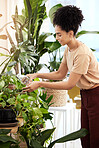 Black woman, water plants and gardening in house for health, care and plant growth. Spring flowers, sustainability and female from Brazil watering eco friendly ferns, leaves and house plants in home.