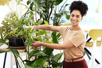 Buy stock photo Black woman, portrait and water plants, eco friendly and happy smile for growth, development and sustainable. Young female, hydrate ferns and plant care in home, happiness and pride for ecology