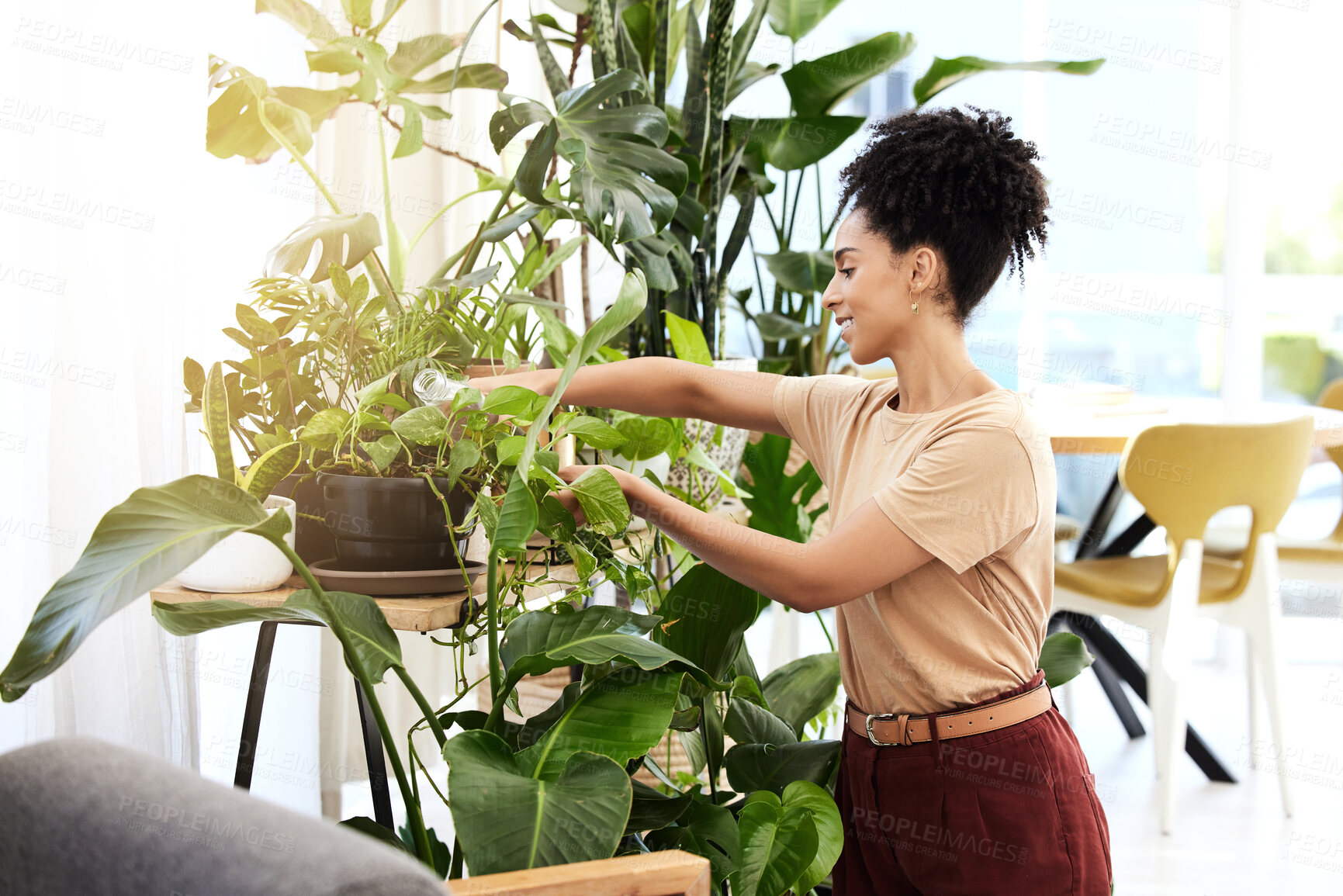 Buy stock photo Plants, office and business woman with eco friendly, green and growth care for workplace wellness, sustainable lifestyle or mental health. Startup corporate worker and plant quality check or progress