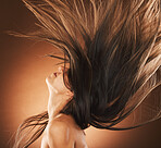 Beauty, hair and freedom with a model woman in studio on a brown background for strong haircare. Wellness, luxury and salon with an attractive young female hair flick to promote a keratin product