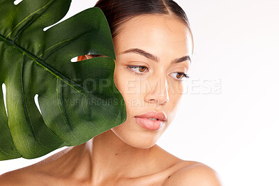 Buy stock photo Woman, beauty and face with leaf in skincare for natural healthy cosmetic treatment against a studio background. Female model in leafy luxury facial, makeup and care for perfect skin on mockup