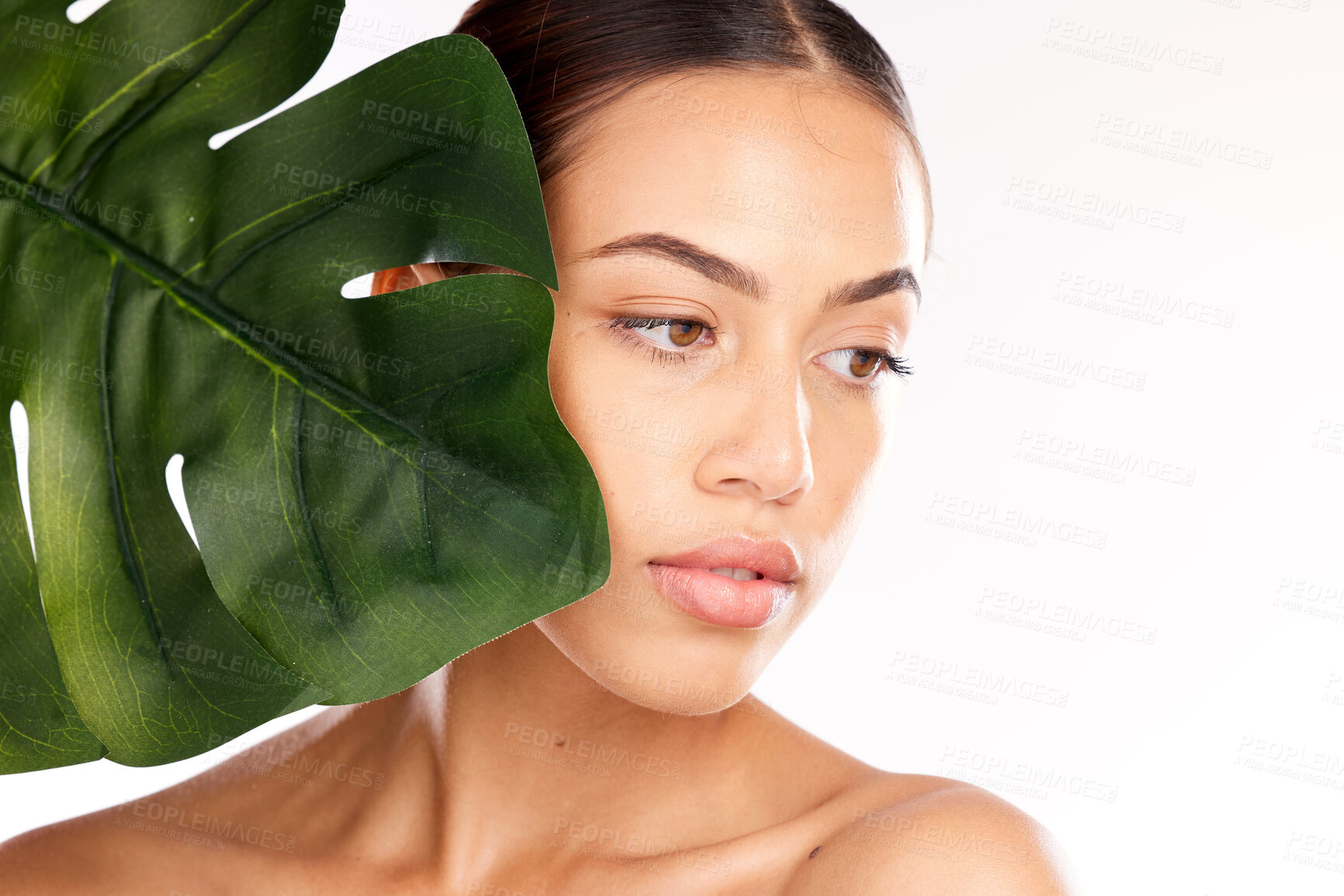 Buy stock photo Woman, beauty and face with leaf in skincare for natural healthy cosmetic treatment against a studio background. Female model in leafy luxury facial, makeup and care for perfect skin on mockup