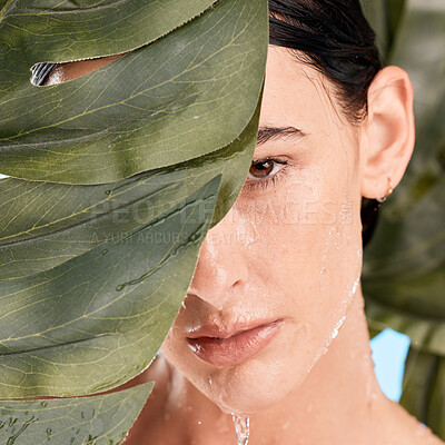 Buy stock photo Woman, skincare and jungle leaves by face with water drop, moisturizer and wellness with mystery. Plants, natural cosmetic and water on model skin for health, organic cleaning and facial aesthetic