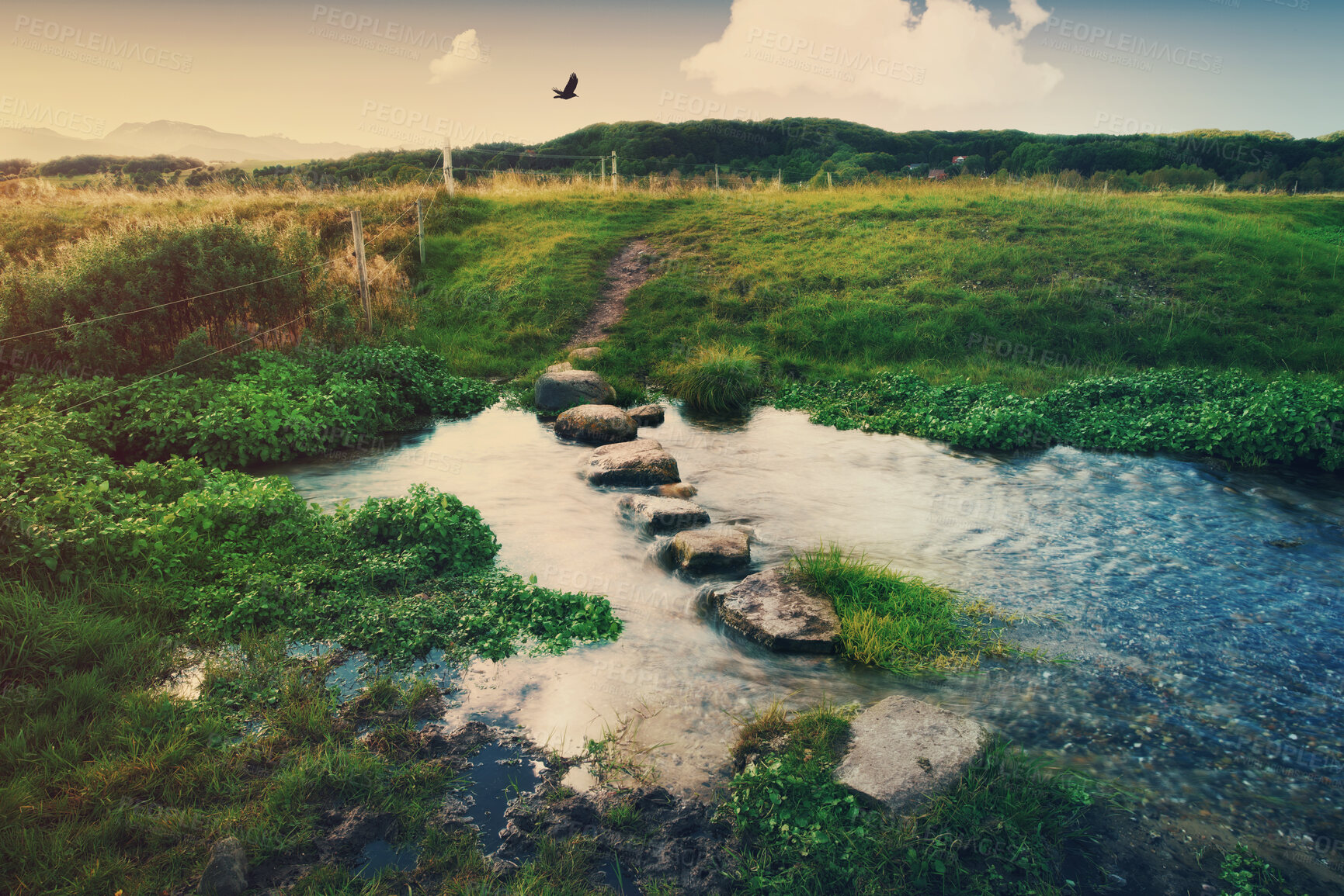 Buy stock photo River view in Denmark nature and landscape, green environment, water and field during sunrise in countryside. Calm, scenic and summer or spring, growth and bush land vacation destination.