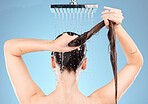 Shower head, woman and washing hair on blue background for healthy skincare, beauty and wellness in studio. Back of female model cleaning body, long hair and scalp with water splash, tap and bathroom