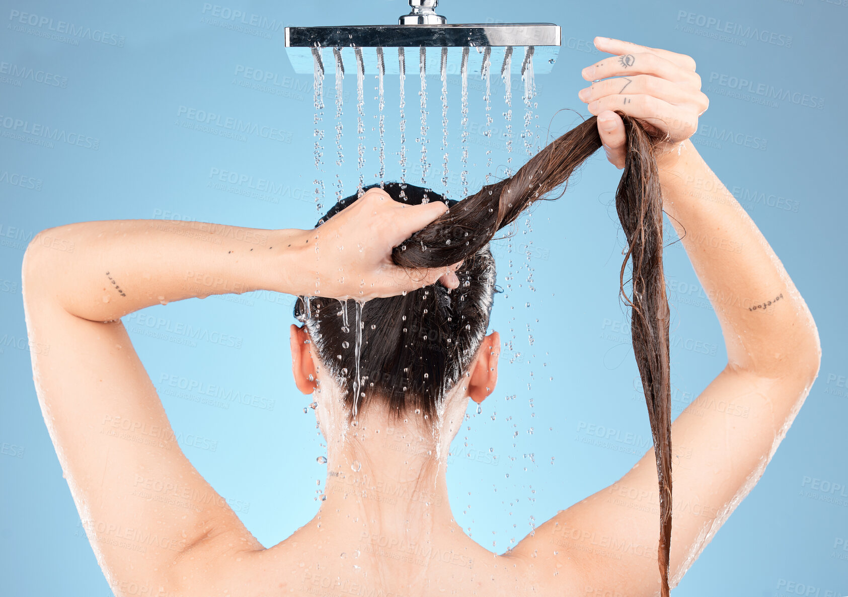 Buy stock photo Shower head, woman and washing hair on blue background for healthy skincare, beauty and wellness in studio. Back of female model cleaning body, long hair and scalp with water splash, tap and bathroom