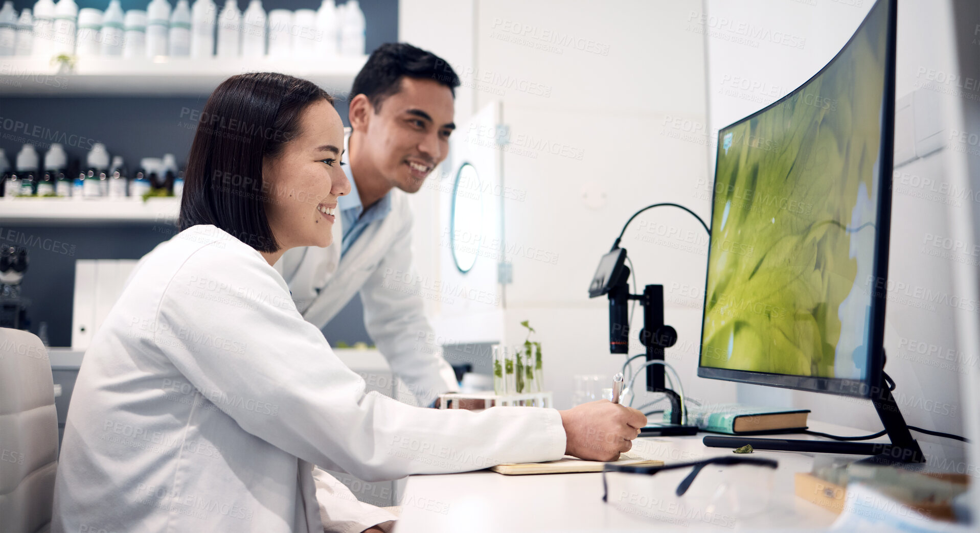 Buy stock photo Computer, plant and science with a team planning a botanist experiment and reviewing research. Data, pc and botany expert colleagues in laboratory with ecology study for climate change idea