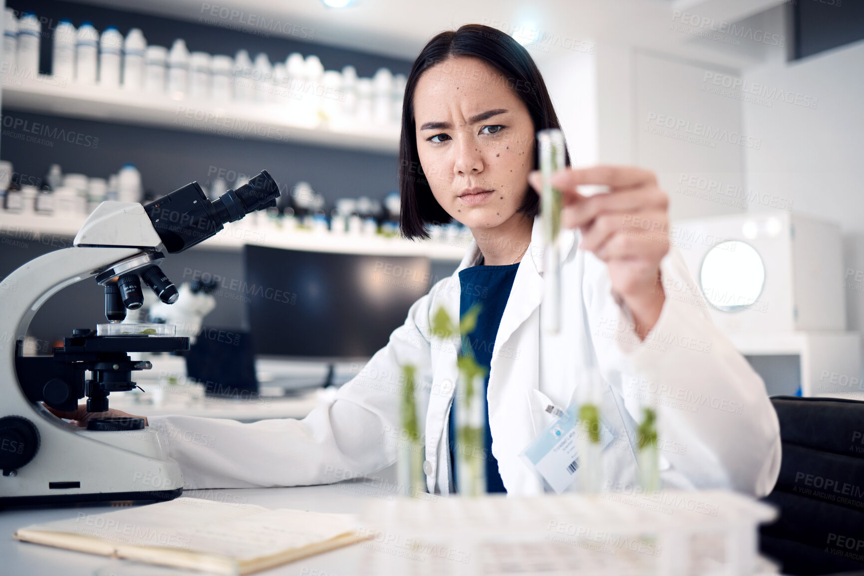 Buy stock photo Scientist woman, test tube and lab for plants in agriculture, food security or gmo on table by microscope. Asian science expert, research or growth of leaves, seedling or laboratory analysis in Tokyo