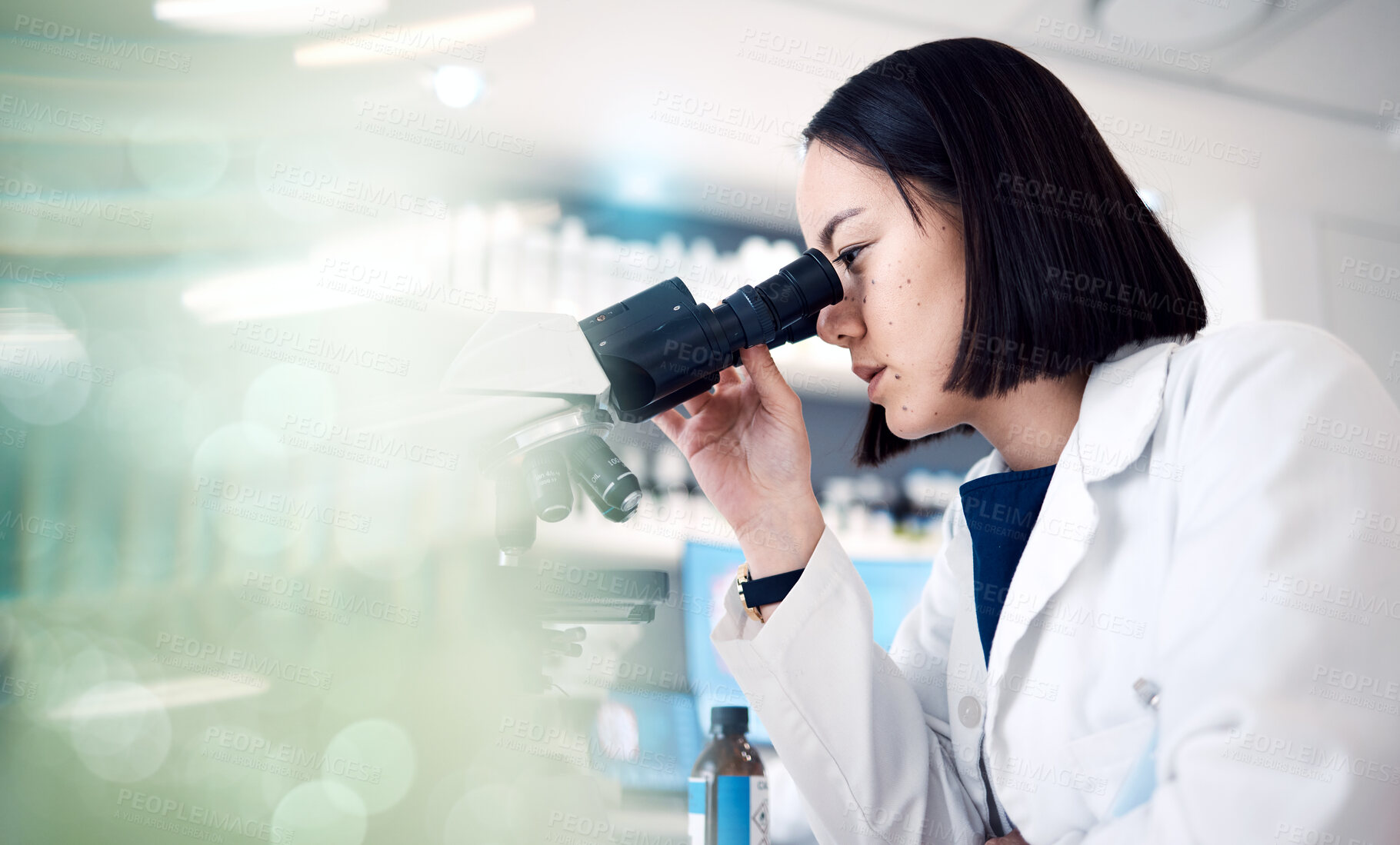Buy stock photo Science, microscope and woman in laboratory for research, medical innovation and test. Female scientist, biotechnology and expert staff working on dna analysis, healthcare investigation and analytics