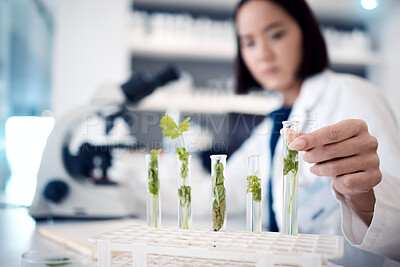 Buy stock photo Woman, hands and plant scientist with test tube in medical research, gmo engineering or climate change research. Zoom, laboratory worker or biologist with science leaf in agriculture study for growth
