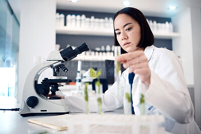 Buy stock photo Lab, microscope or woman scientist with plant in test tube, analytics or healthcare innovation. Science, futuristic or botanist doctor in Tokyo hospital for medicine study or data analysis research