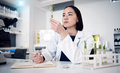 Buy stock photo Scientist woman, test tube and plants in lab research, food security study or agriculture development. Asian doctor, plant expert or gene editing for leaf growth, healthy leaves or science in Tokyo