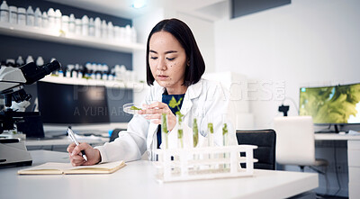 Buy stock photo Scientist, plant and medical research with ecology, green leave and nature medicine while writing notes in laboratory. Asian woman doctor with petri dish for innovation, development and analysis