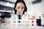 Science, botany leaf analysis and scientist study plant for pharmaceutical medicine innovation, cosmetics or natural drugs development. Laboratory test tube, 420 CBD and Asian woman research cannabis