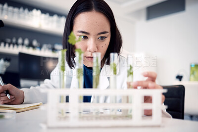 Buy stock photo Science, botany leaf analysis and scientist study plant for pharmaceutical medicine innovation, cosmetics or natural drugs development. Laboratory test tube, 420 CBD and Asian woman research cannabis