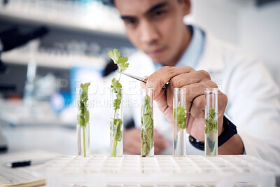 Buy stock photo Hands, plant scientist and laboratory test tubes in plant growth research, climate change solution or organic medicine analytics. Zoom, man and worker in food study science or agriculture innovation