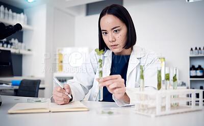 Buy stock photo Plant, science and test tube with a woman botanist working on a scientific breakthrough in the lab. Laboratory, botany and ecology experiment with herbal medicine and innovation using plants