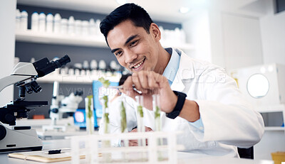 Buy stock photo Scientist, plant and research in laboratory, microscope or test tube with innovation, analytics or happy smile in work. Science man, biology analysis or expert working with chemicals in chemistry lab
