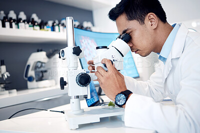 Buy stock photo Microbiology, research and scientist in a lab with a microscope for science, healthcare innovation and bacteria analysis. Medical analytics, biotechnology and worker with test on future medicine